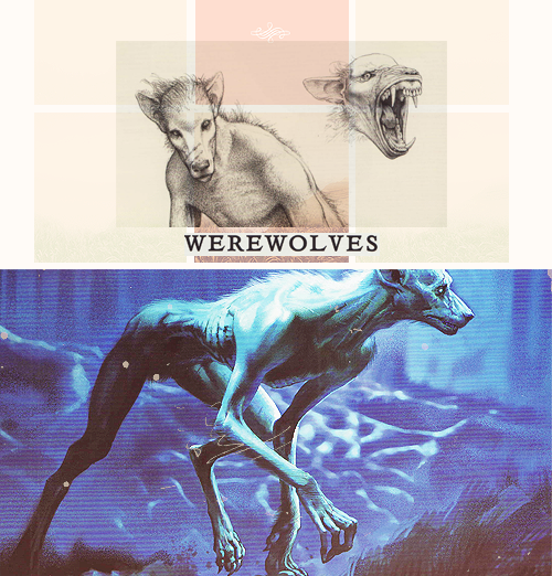 4c58d8f9bc6d9dcbb703533b34e1942d